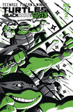 TMNT: BLACK WHITE & GREEN (Comic Set #1-4) (2024)